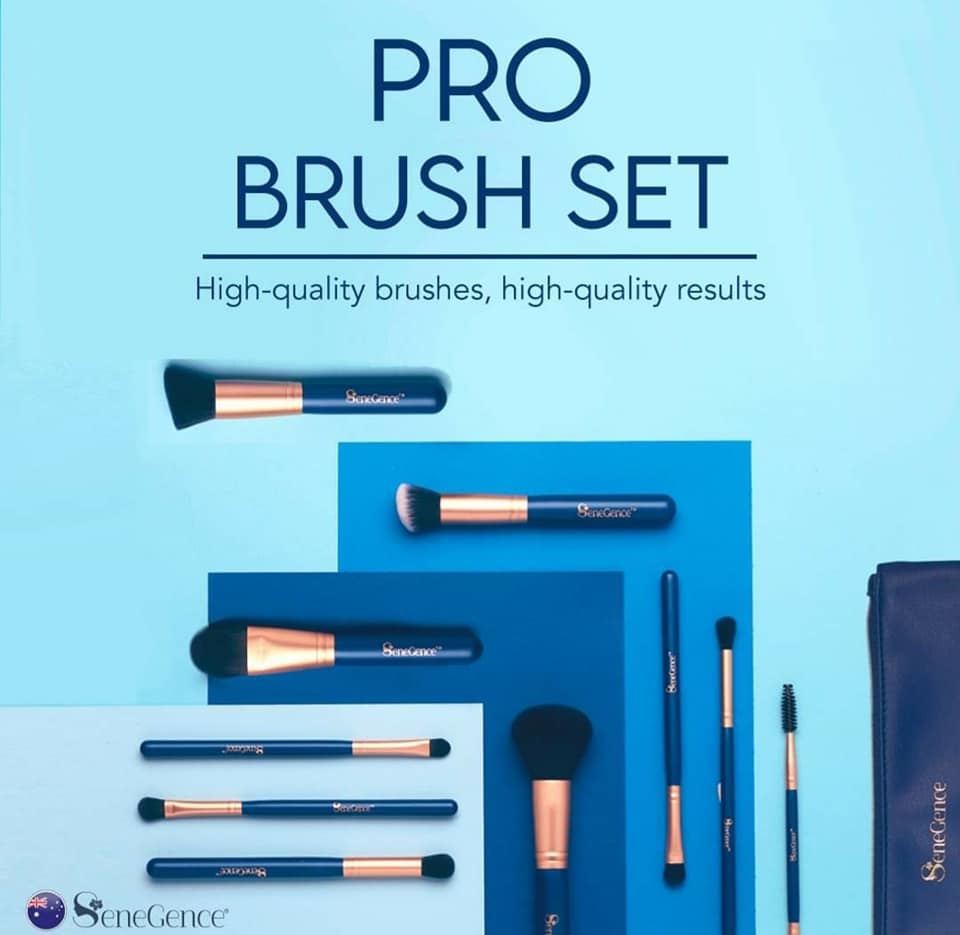 Concert Make-Up: 10 piece make-up brush set